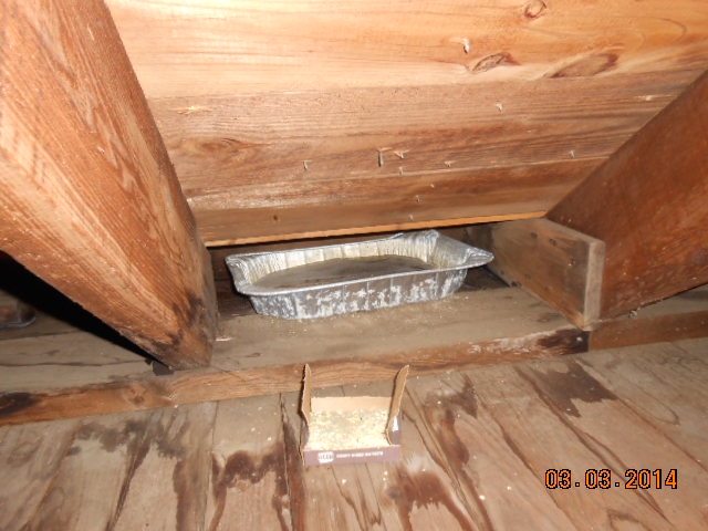 leak in attic