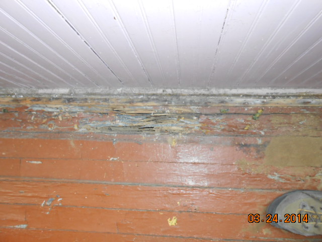 termite damage 007